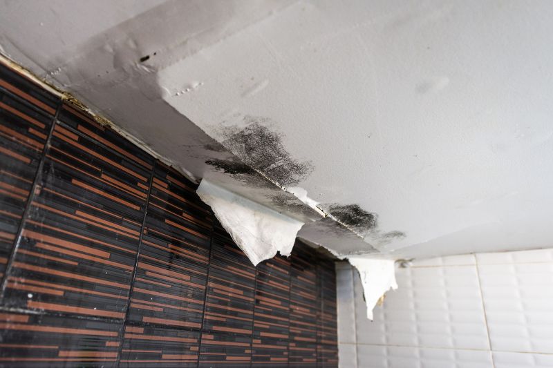 Attic Water Damage Repair in Denver, CO