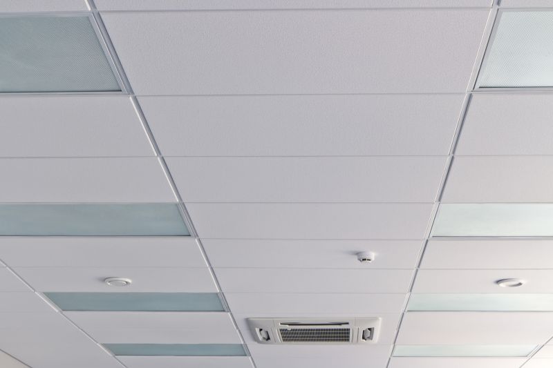 Ceiling Removal Service in Alpharetta, GA
