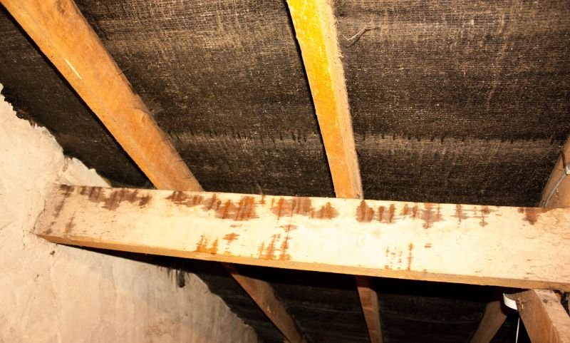 Crawl Space Remediation in Katy, TX