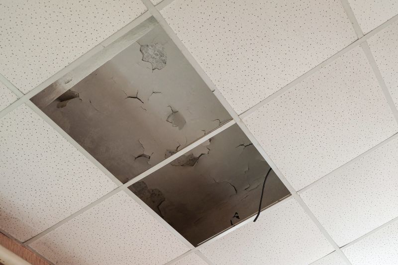 Water Damage Ceiling Repair in Charleston, SC