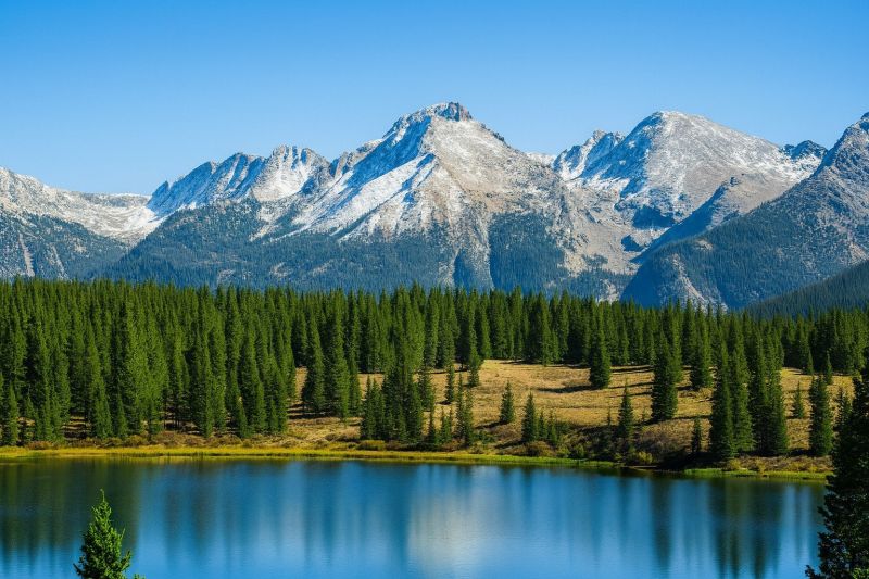 Handyman Repair Service in Lafayette, CO